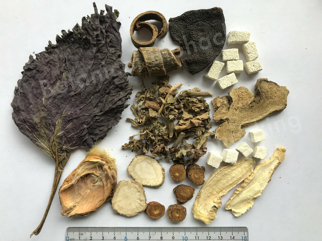 Atone Huo Xiang Zheng Qi tea 30 teabags by Botanical Biohacking