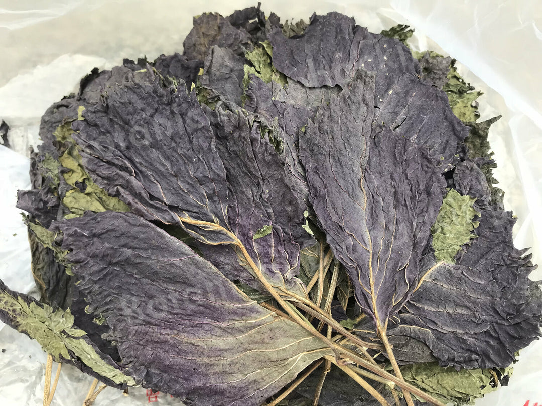 Atone Huo Xiang Zheng Qi tea 30 teabags by Botanical Biohacking