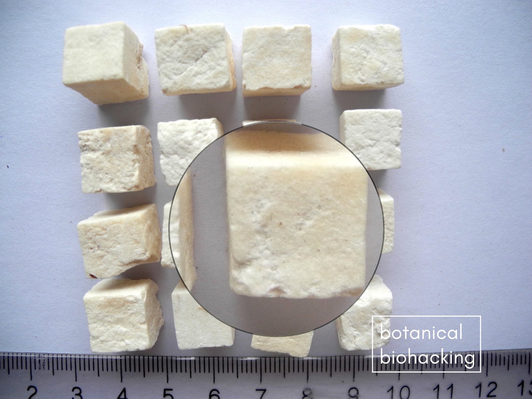 Glow Guizi Fuling Wan tea 30 teabags by Botanical Biohacking