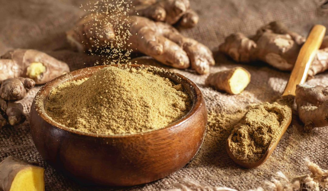 Gan Jiang - 干姜 - Dried Ginger Rhizome Treasure of the East