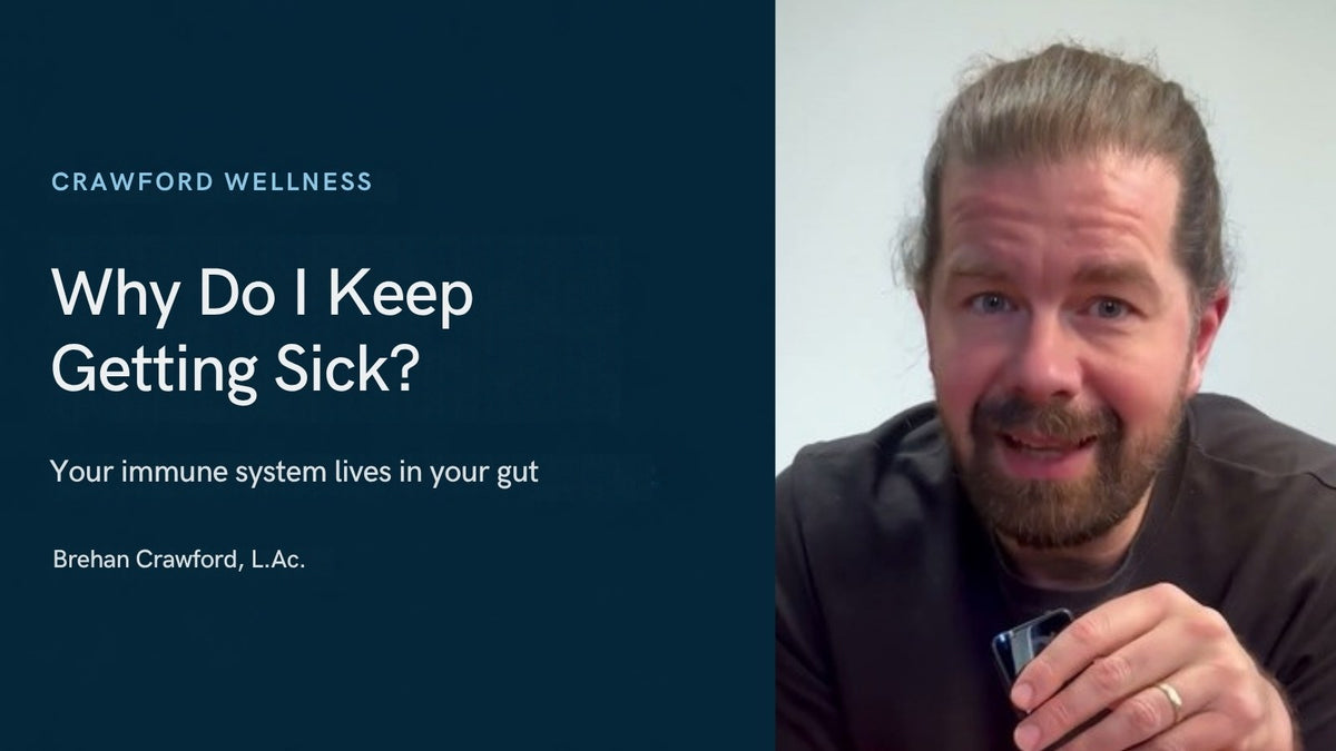 Why do I keep getting sick every month? Brehan Crawford, L.Ac., in his video on the gut and the immune system