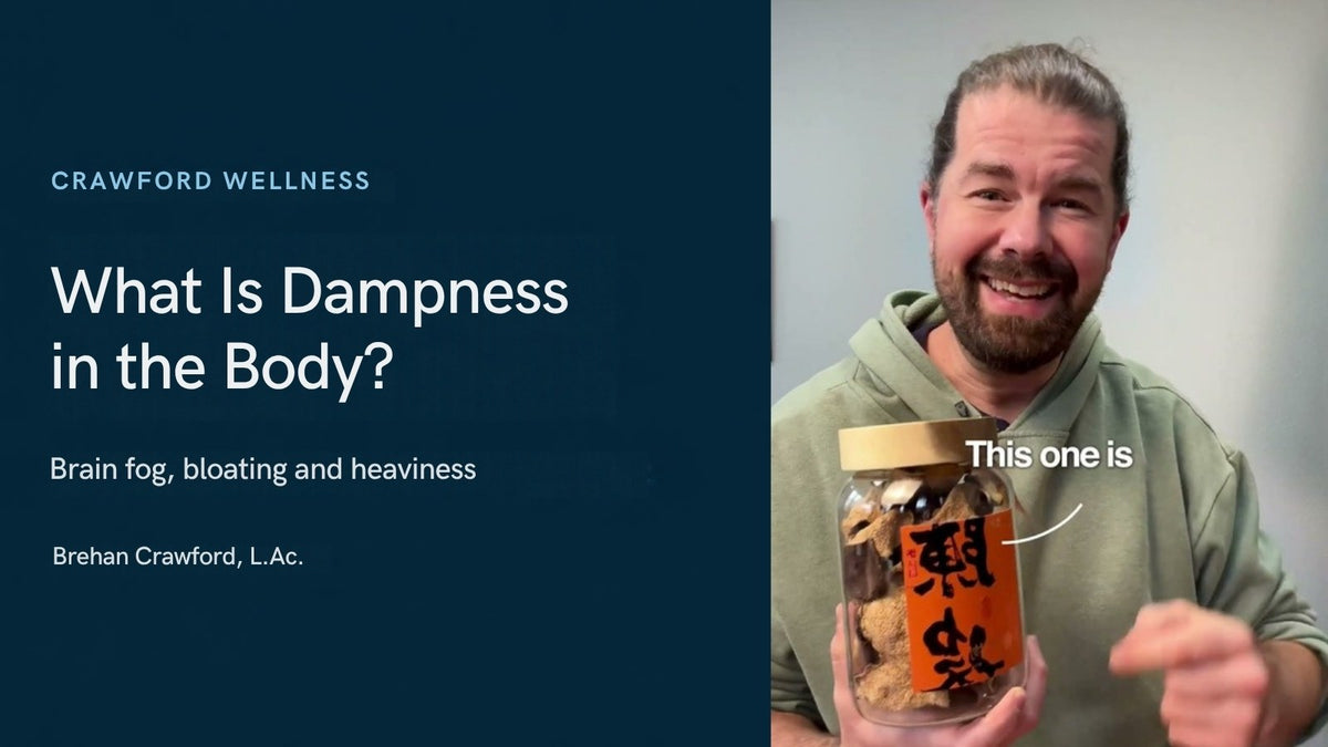 What is dampness in the body: Brehan Crawford, L.Ac., with a jar of aged chen pi, the tangerine peel used to dry dampness