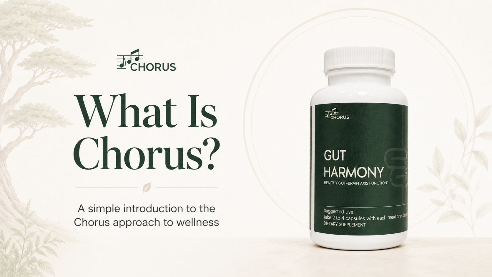 What is Chorus?