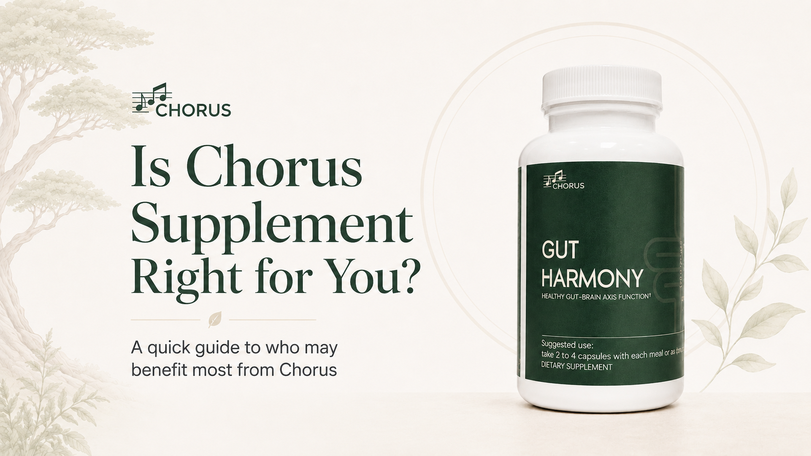 Is Chorus Supplement Right for You?