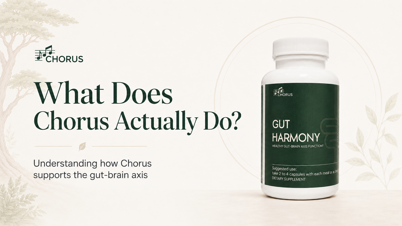 What Does Chorus Actually Do?