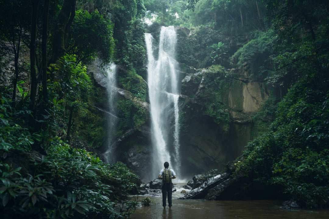 Waterfall Waterfall in nature