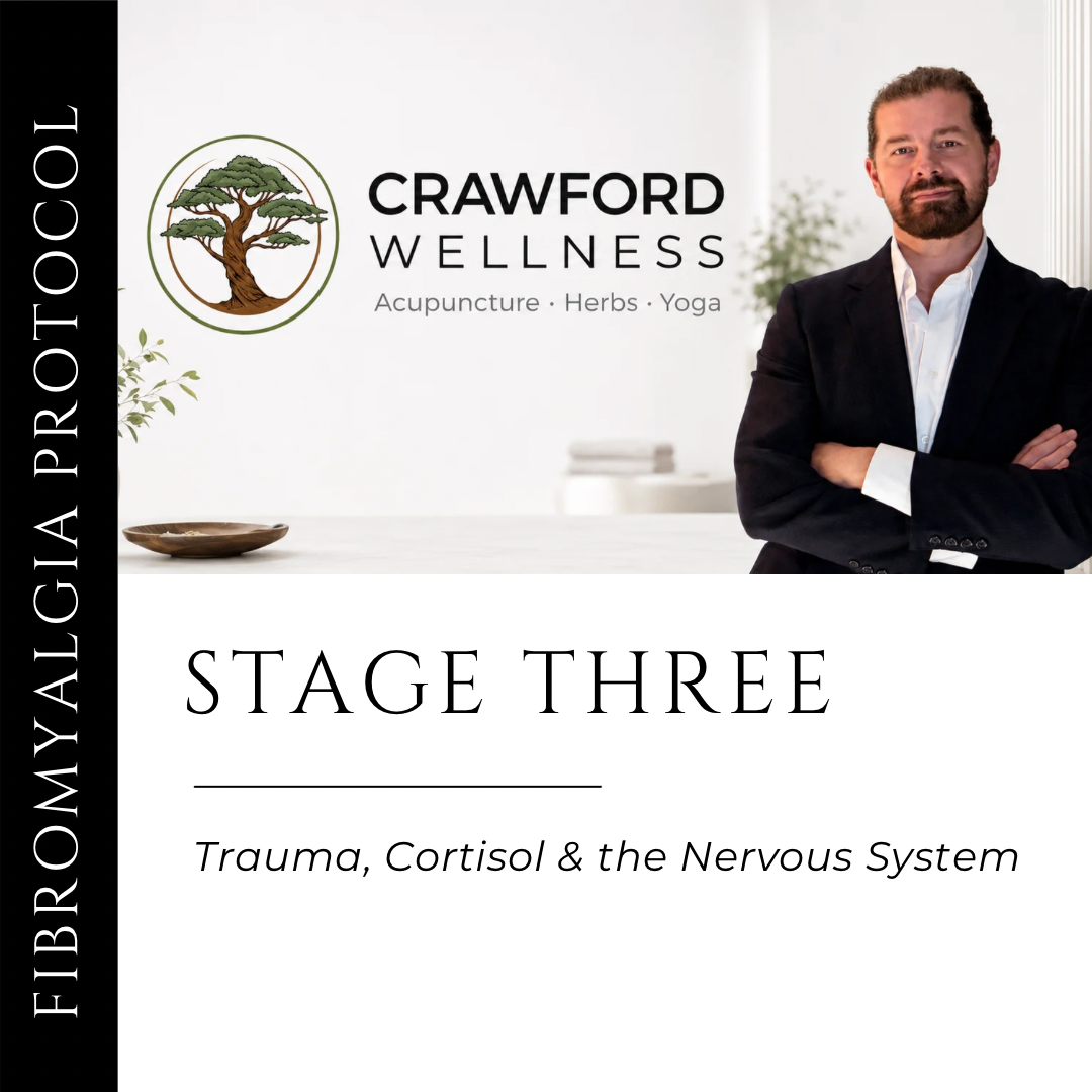 Fibromyalgia Protocol Stage 3: Trauma, Cortisol & the Nervous System