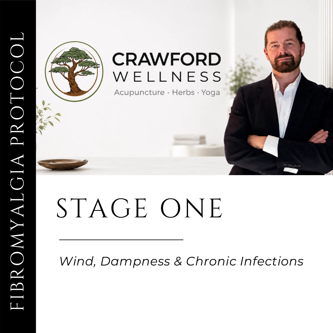 Fibromyalgia Protocol Stage 1: Wind, Dampness & Chronic Infections