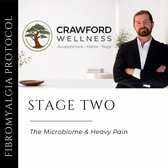 Fibromyalgia Protocol Stage 2: The Microbiome & Heavy Pain