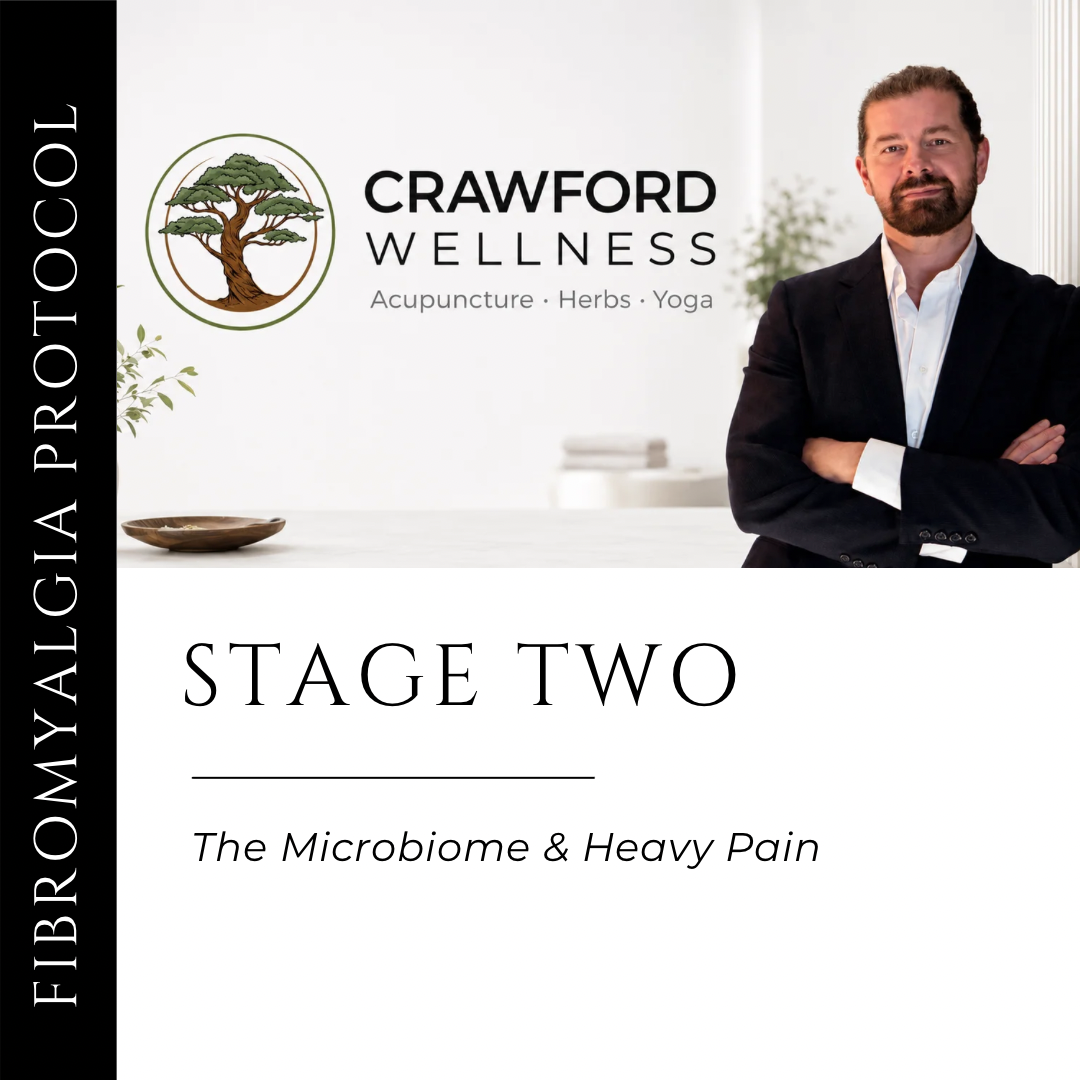 Fibromyalgia Protocol Stage 2: The Microbiome & Heavy Pain