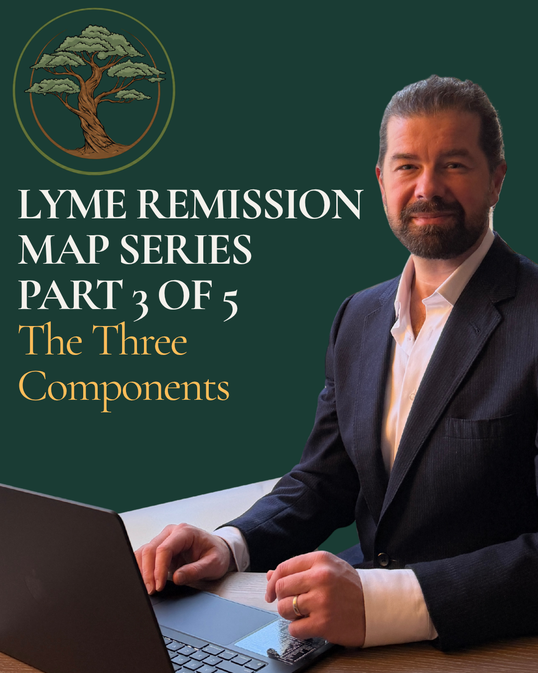 Lyme Remission Map Series Part 3: The Three Components