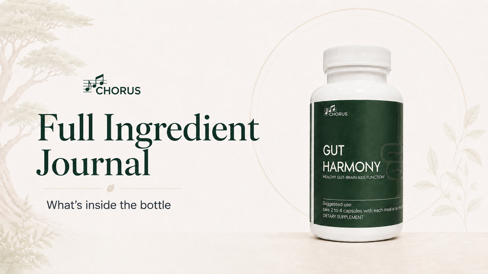 Full Ingredient Journal:  What's in the Bottle