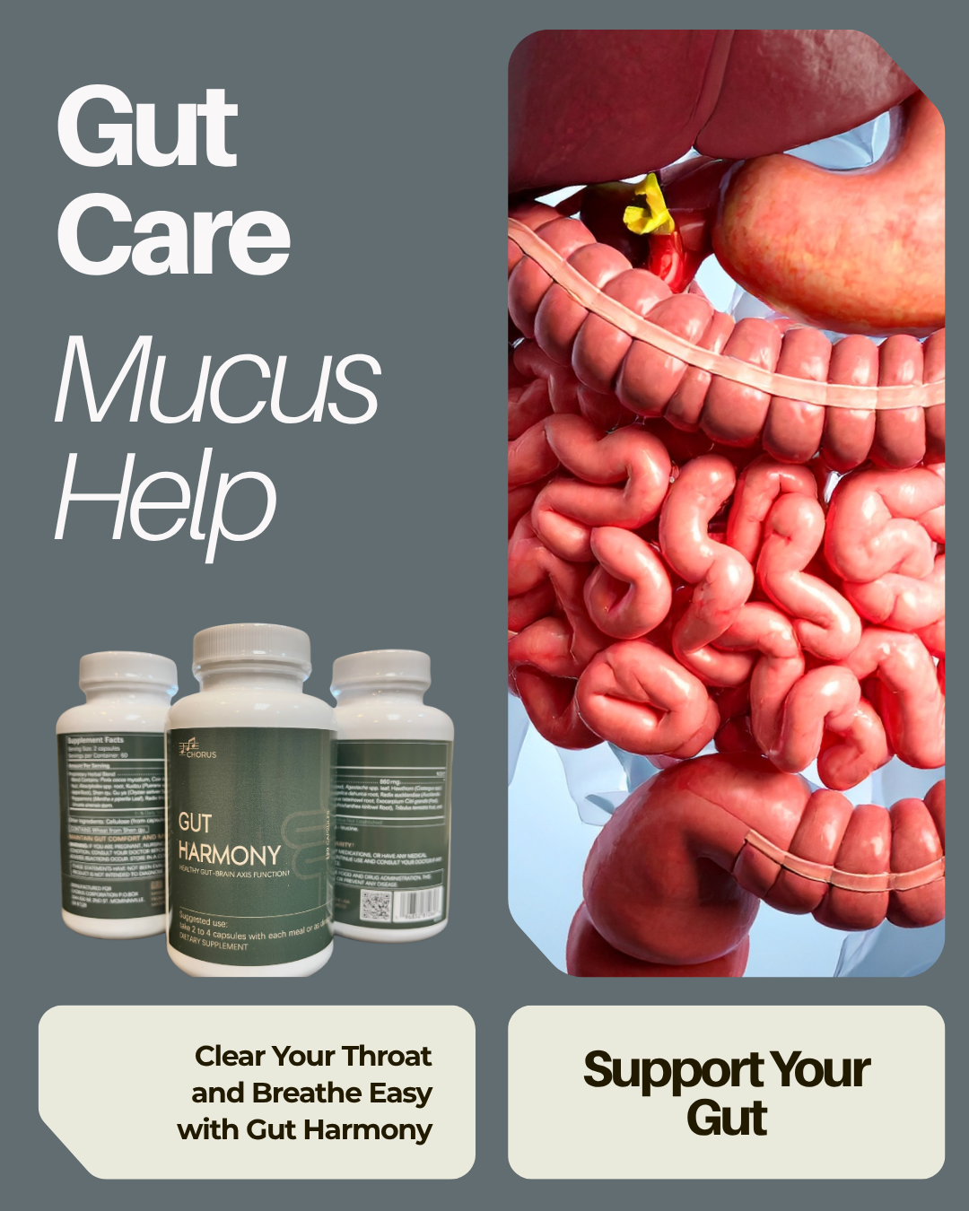 How To Get Ride of Throat Mucus