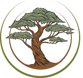 Do Food Emulsifier Cause Gut Dysbiosis?