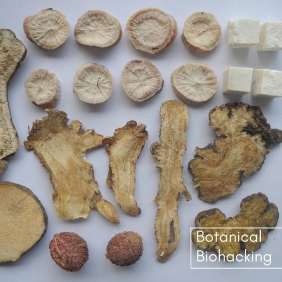 Copeia Dang Gui Shao Yao San tea 30 teabags by Botanical Biohacking