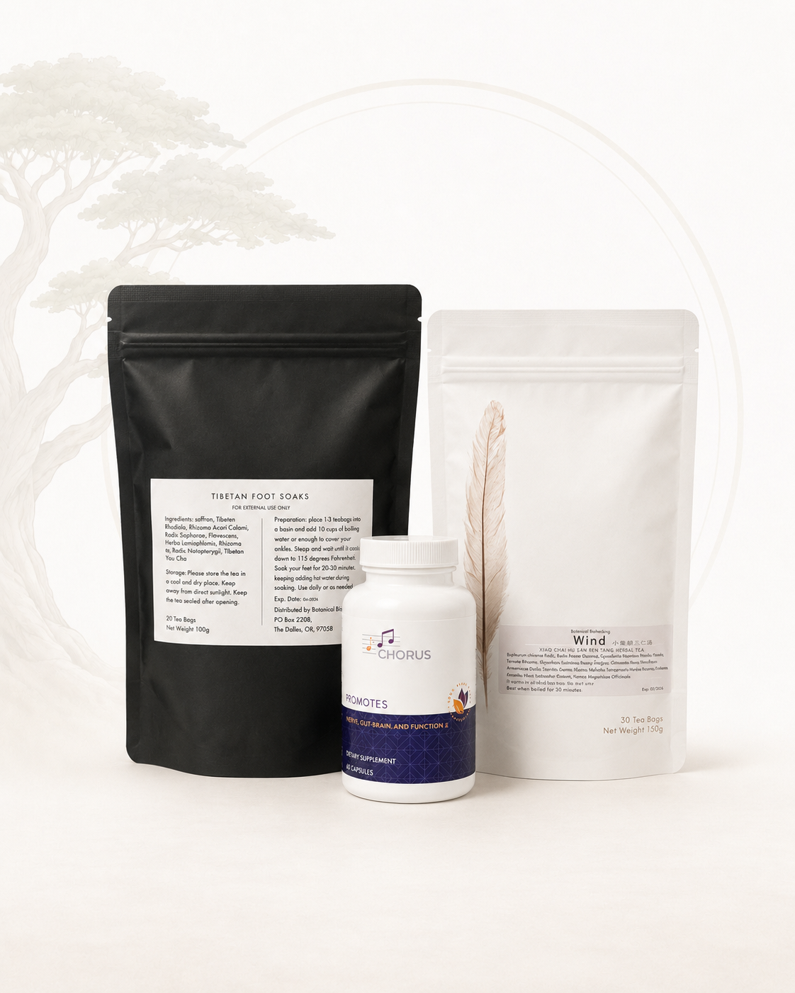 Fibromyalgia Stage 1 Protocol Package