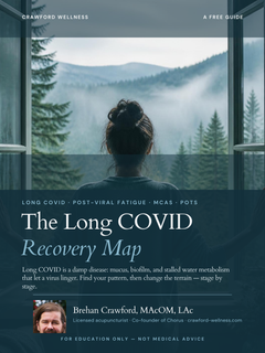 The Long COVID Recovery Map