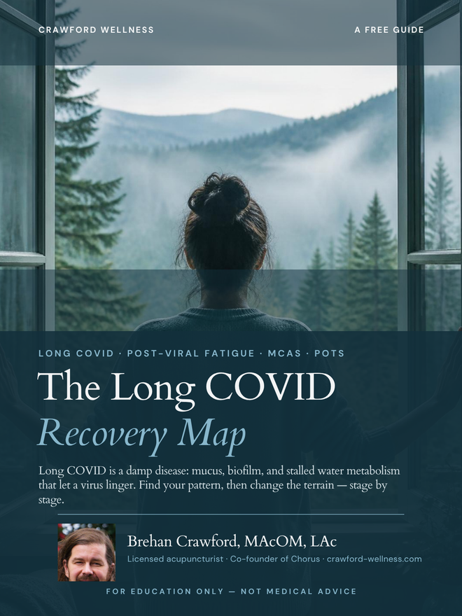 The Long COVID Recovery Map