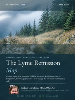 The Lyme Remission Map
