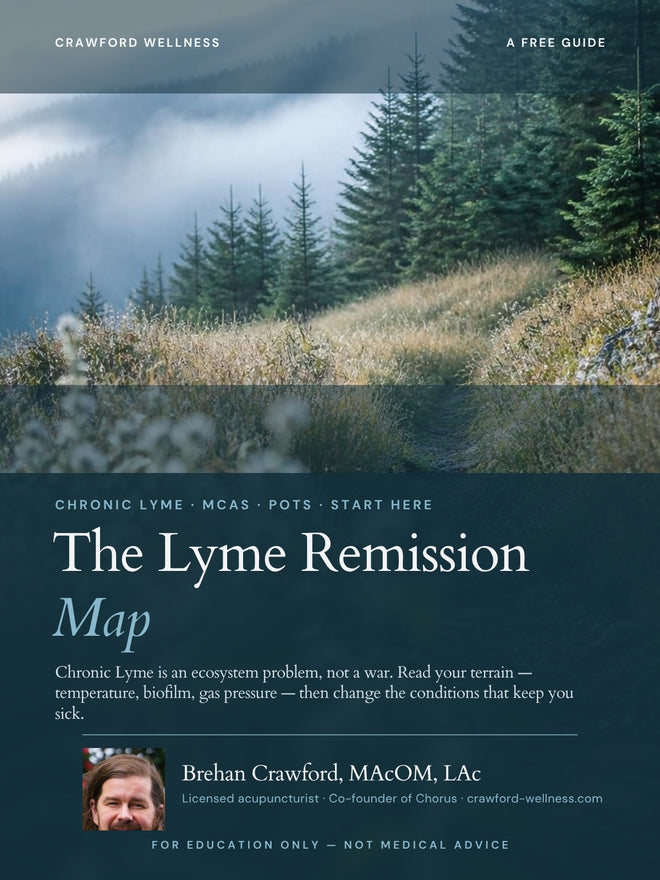The Lyme Remission Map